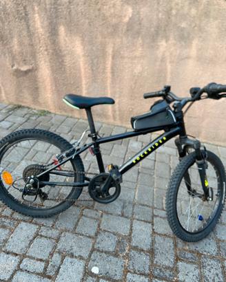Bicicletta ragazzo 20 pollici