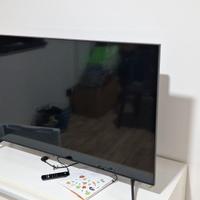 Tv qled 50 pollici  guasto