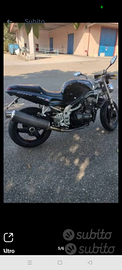 Triumph Speed triple T509