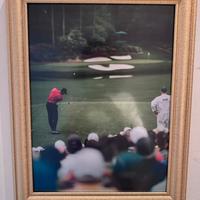 Quadro golf Tiger Woods con cornice oro