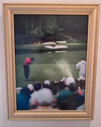Quadro golf Tiger Woods con cornice oro
