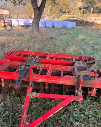 maschio 