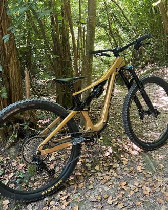orbea rallon enduro 29