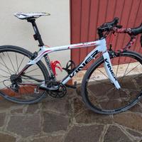 Bici strada corsa Viner magnifica carbonio S