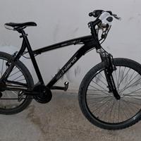 Bici Mountain bike bicicletta 26