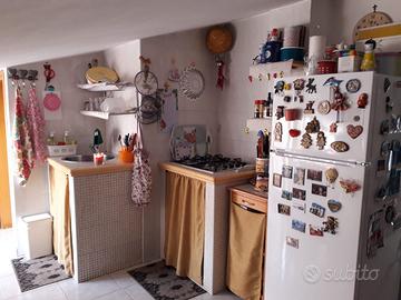 Monolocale sottotetto