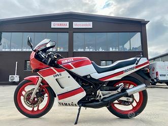 Yamaha rd 350 lc Vendita in Moto e scooter