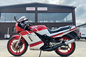 Yamaha RD 350 LC -1986 (PISTONI NUOVI CON ZERO KM)
