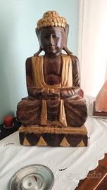 splendido budda