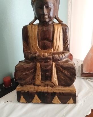 splendido budda