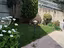 Immagine 6