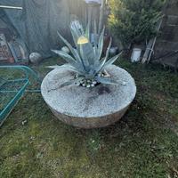 coppia di ruote da macina