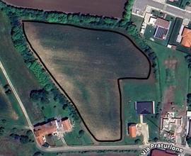 Terreno edificabile + agricolo