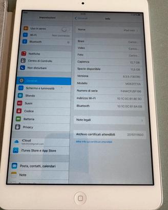 ipad Apple 