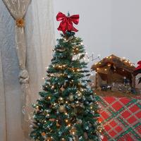Albero di natale 