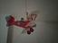 Immagine 3
