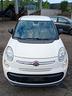 fiat-500l-anno-2014-solo-per-ricambi