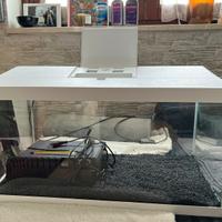 Acquario in vetro 52 litri + filtro e termometro