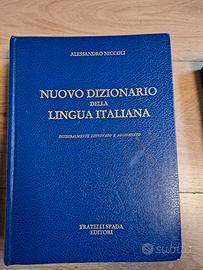 Dizionari