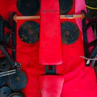 Panca regolabile Marbo Sport