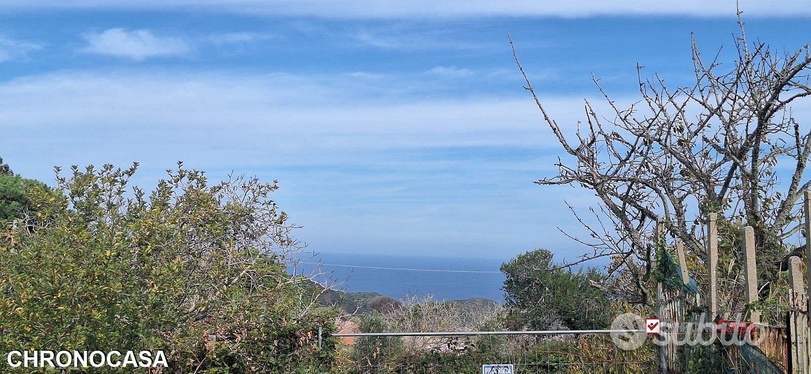 Castanea,terreno agricolo di circa 3300mq, - Vista 4