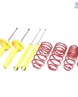 KIT SOSPENSIONE SPORTIVA PER PEUGEOT