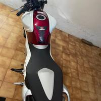 Suzuki Gladius 650