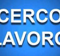 Imbianchino Cartongessista