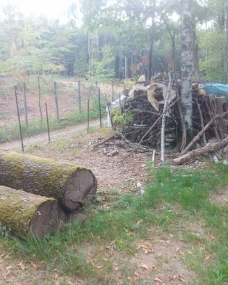 Legna ardere mista 8 bancali tagliata in pezzi
