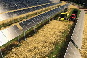 Terreni per agrivoltaico avanzato minimo 15 ettari