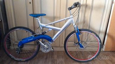  bici 100 euro