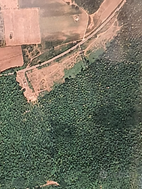 Prato su strada Pratoni del Vivaro