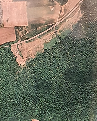 Prato su strada Pratoni del Vivaro