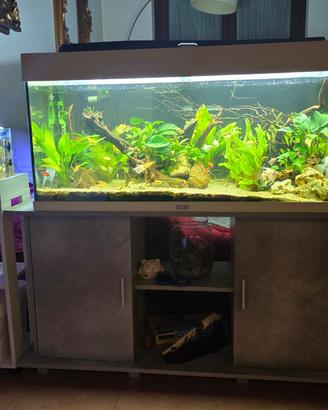 acquario
