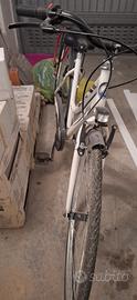bicicletta con cambio