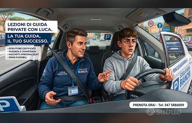 Istruttore di scuola guida