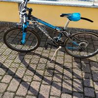 Bici ragazzo torpado viper 24