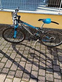 Bici ragazzo torpado viper 24