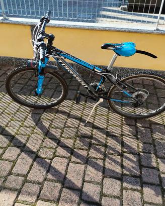 Bici ragazzo torpado viper 24