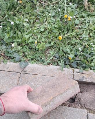 Autobloccanti Gratis