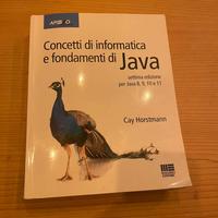 Concetti di informatica e fondamenti di Java Cay