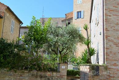 Appartamento - Fermo