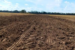 Terreno agricolo