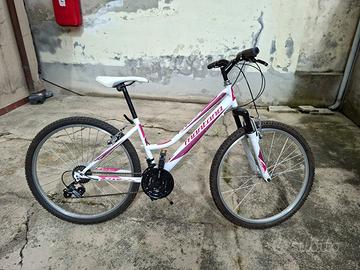 Bicicletta ragazzi 
