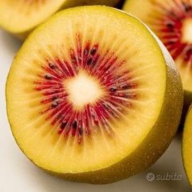Kiwi giallo a cuore rosso (rarita)