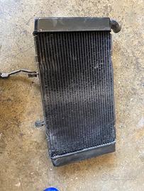 Radiatore honda cbr usato