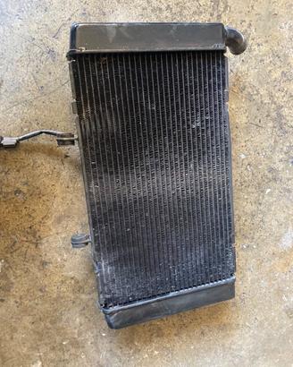 Radiatore honda cbr usato