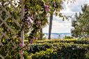 villetta-indipendente-con-giardino