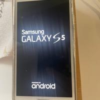 Sansung s5 usato