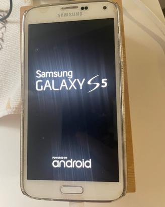 Sansung s5 usato